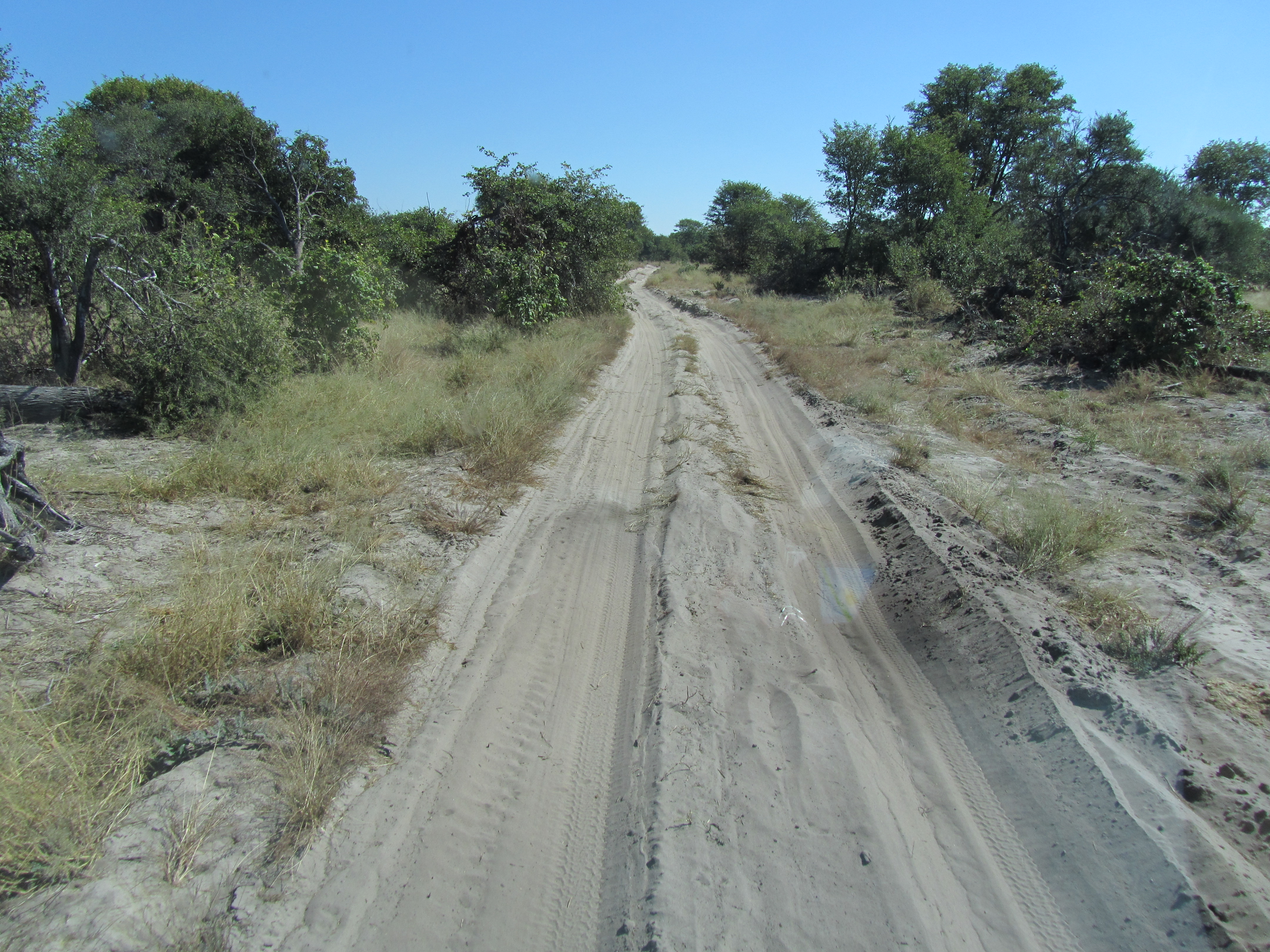BOTSWANA WEBSITE BUSH