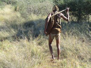 BOTSWANA WEBSITE Kalahari Bushman