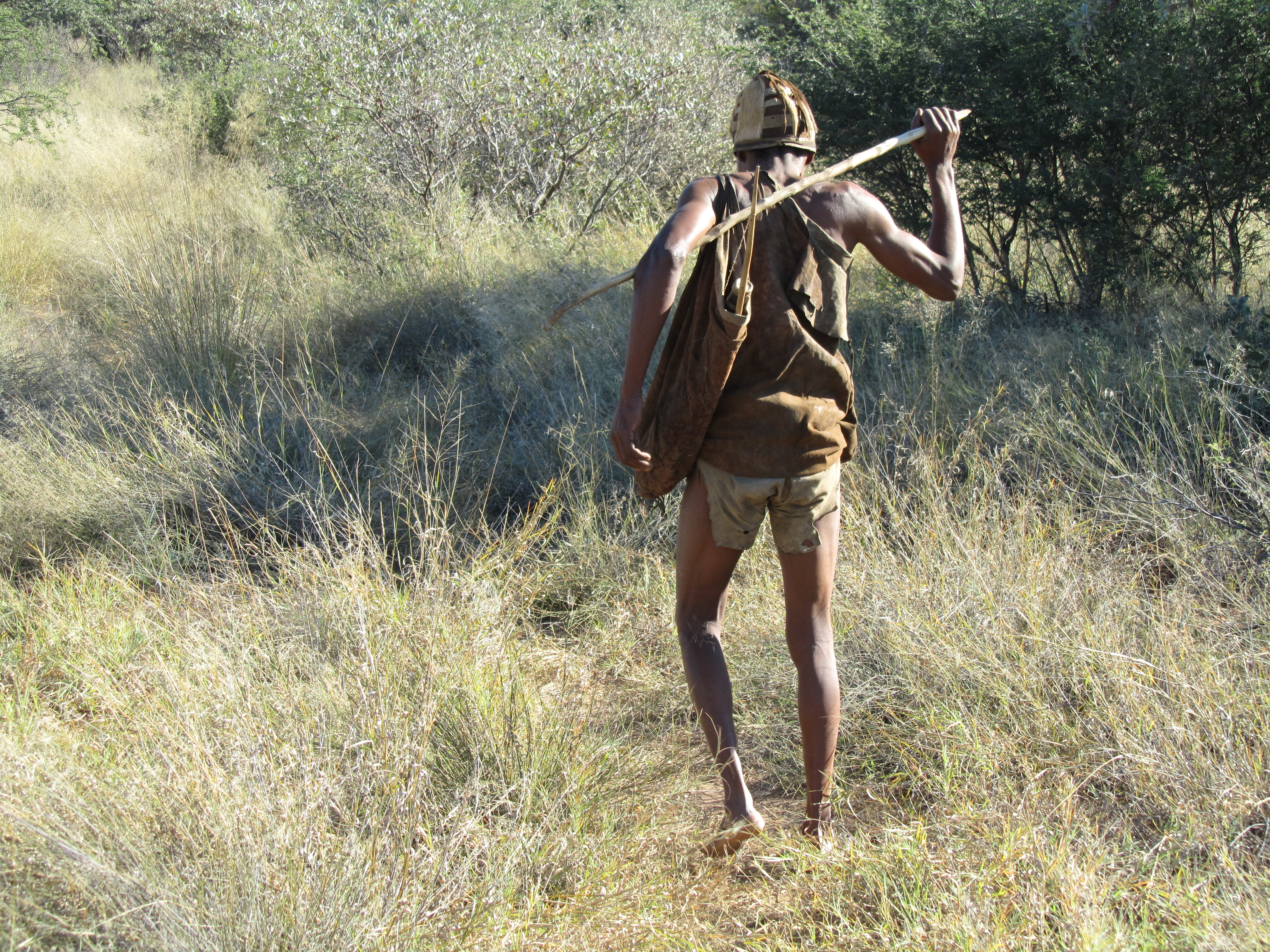 BOTSWANA WEBSITE Kalahari Bushman