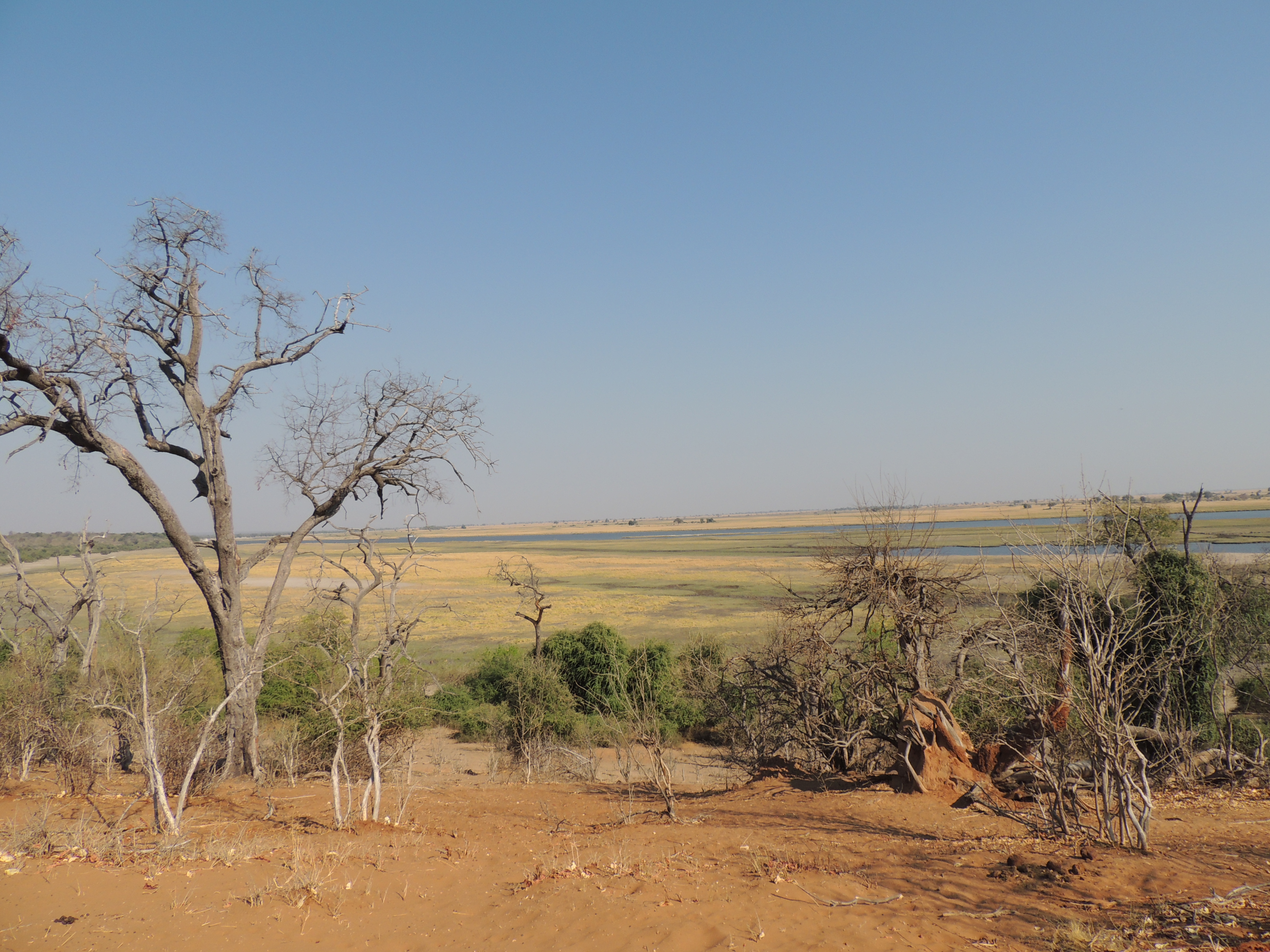 BOTSWANA WEBSITE BUSH