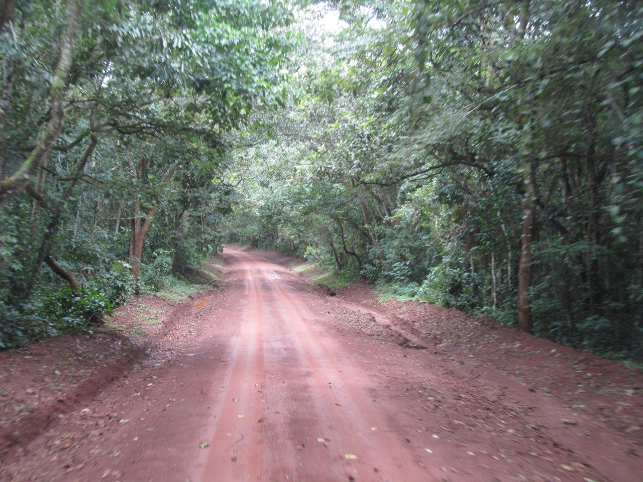Northern Uganda