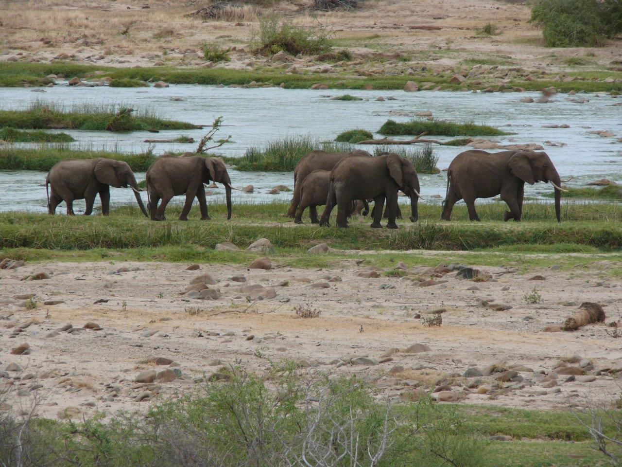 BOTSWANA WEBSITE BUSH