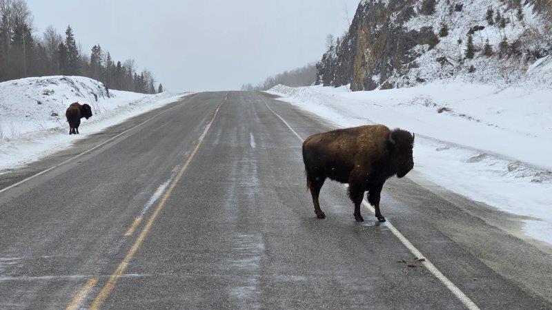 British Columbia