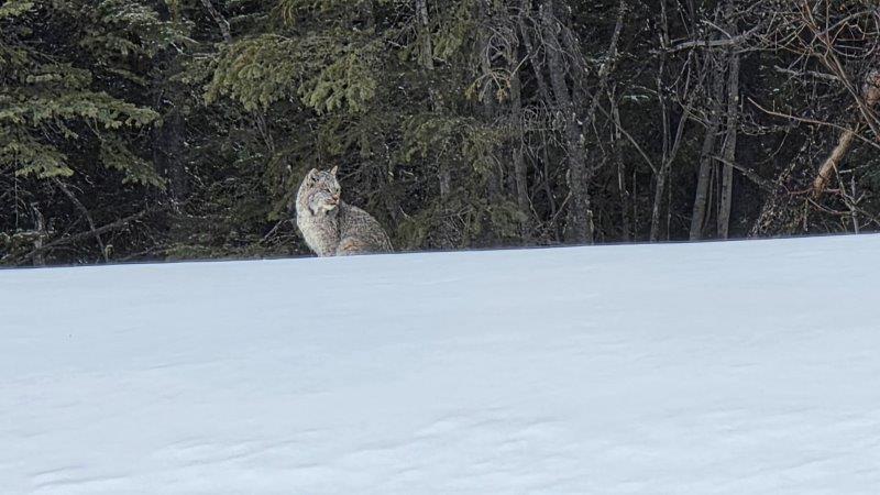 British Columbia