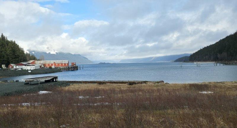 Haines
