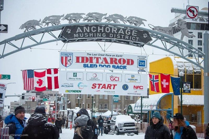 The Iditarod Trail Sled Dog Race