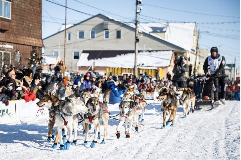 The Iditarod Trail Sled Dog Race