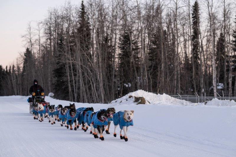 The Iditarod Trail Sled Dog Race