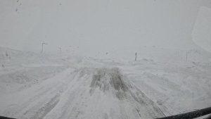 VALDEZ