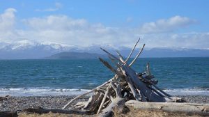 Anchorage to Homer