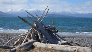 Anchorage to Homer