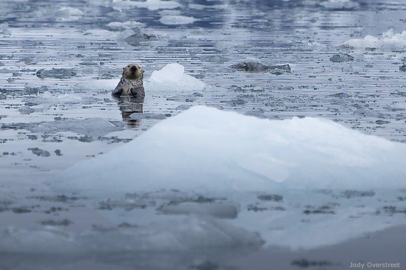 Anchorage to Homer