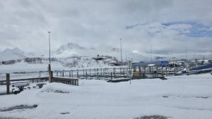 VALDEZ