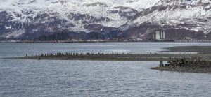 VALDEZ