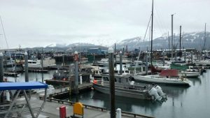 Anchorage to Homer