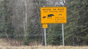 Anchorage to Homer